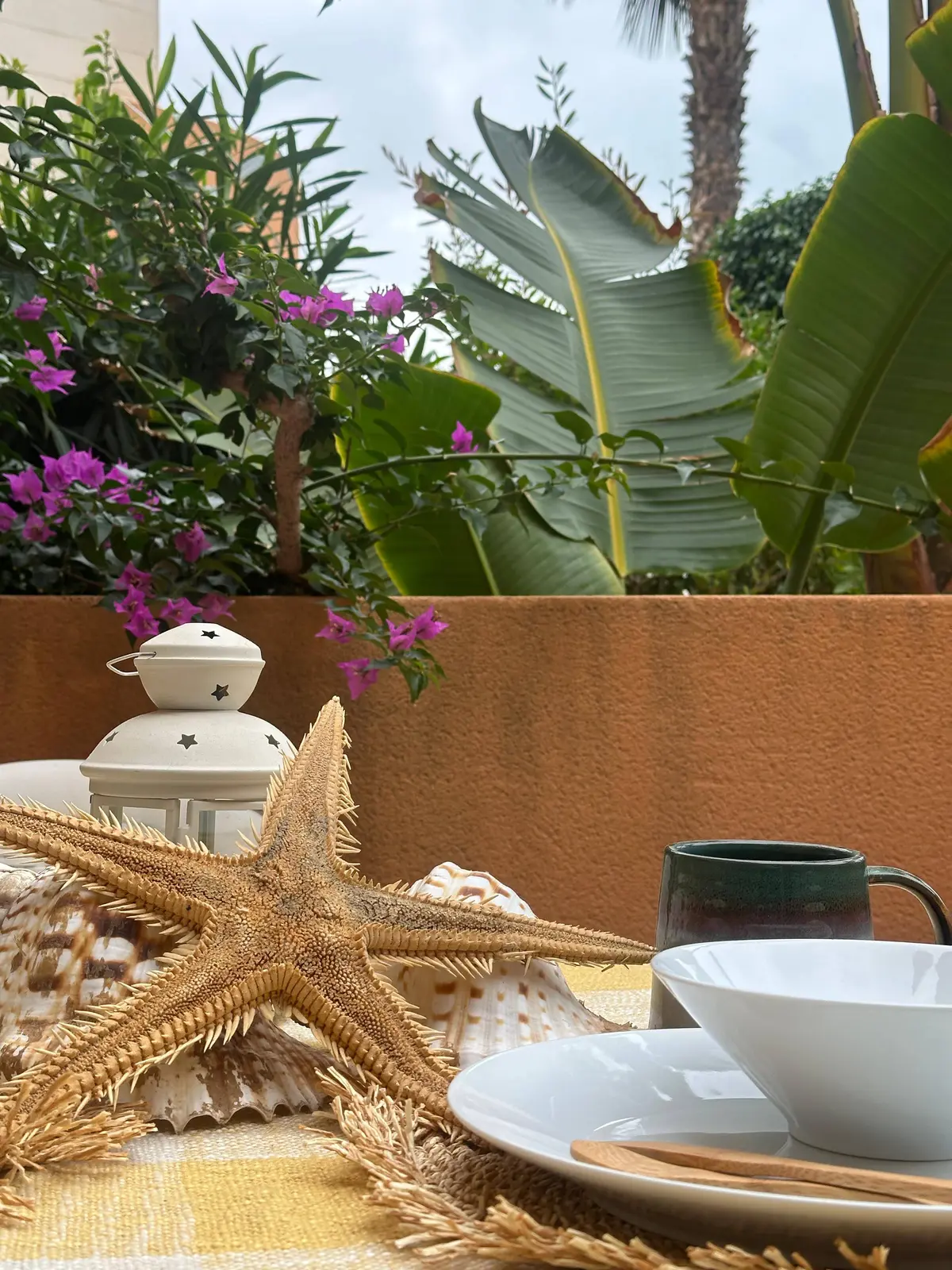 Terraza